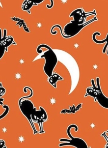 45" Halloween - Spooky Cat glow in dark - Orange - 1 yd